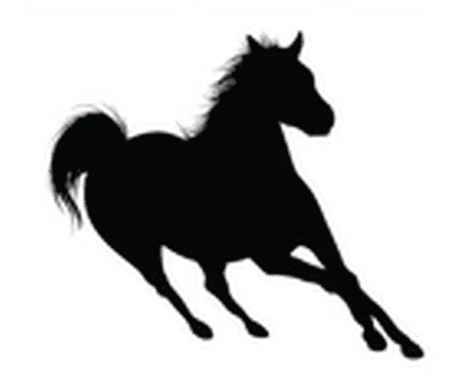 1615206129558.webp