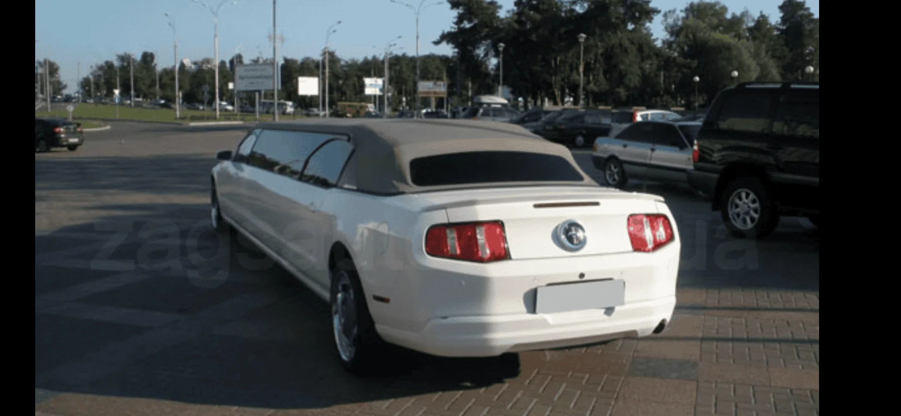 EF8EC153-3F60-401D-9C29-6086D599025E.webp