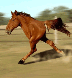2r0ycmi.gif