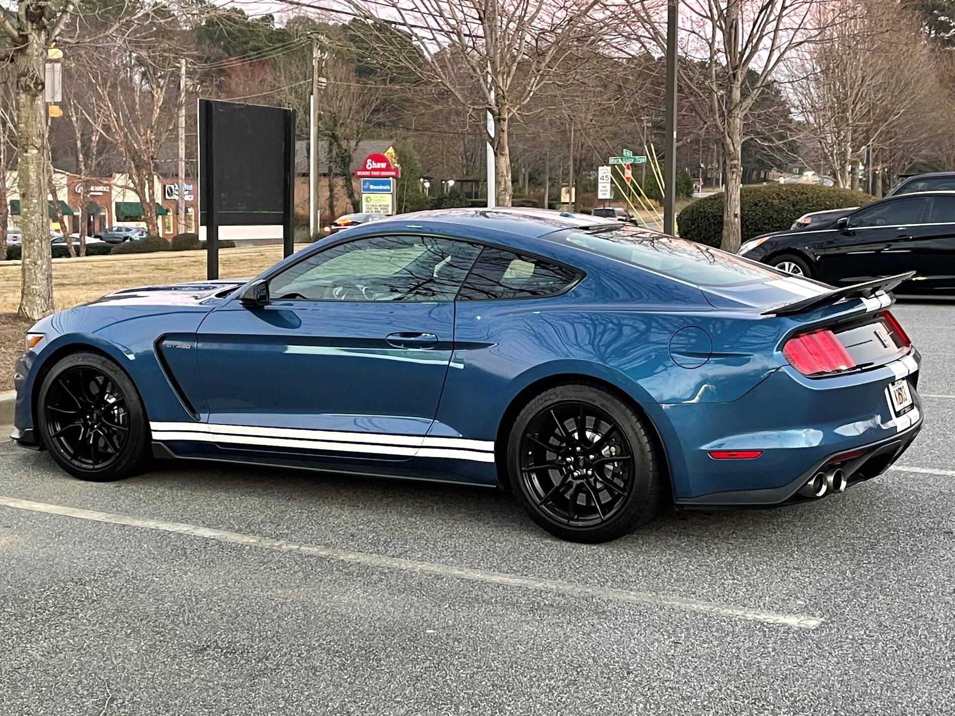 Shelby (dark).jpg