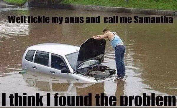 1a1ccd553e0297c80dadff9975193d08.jpg