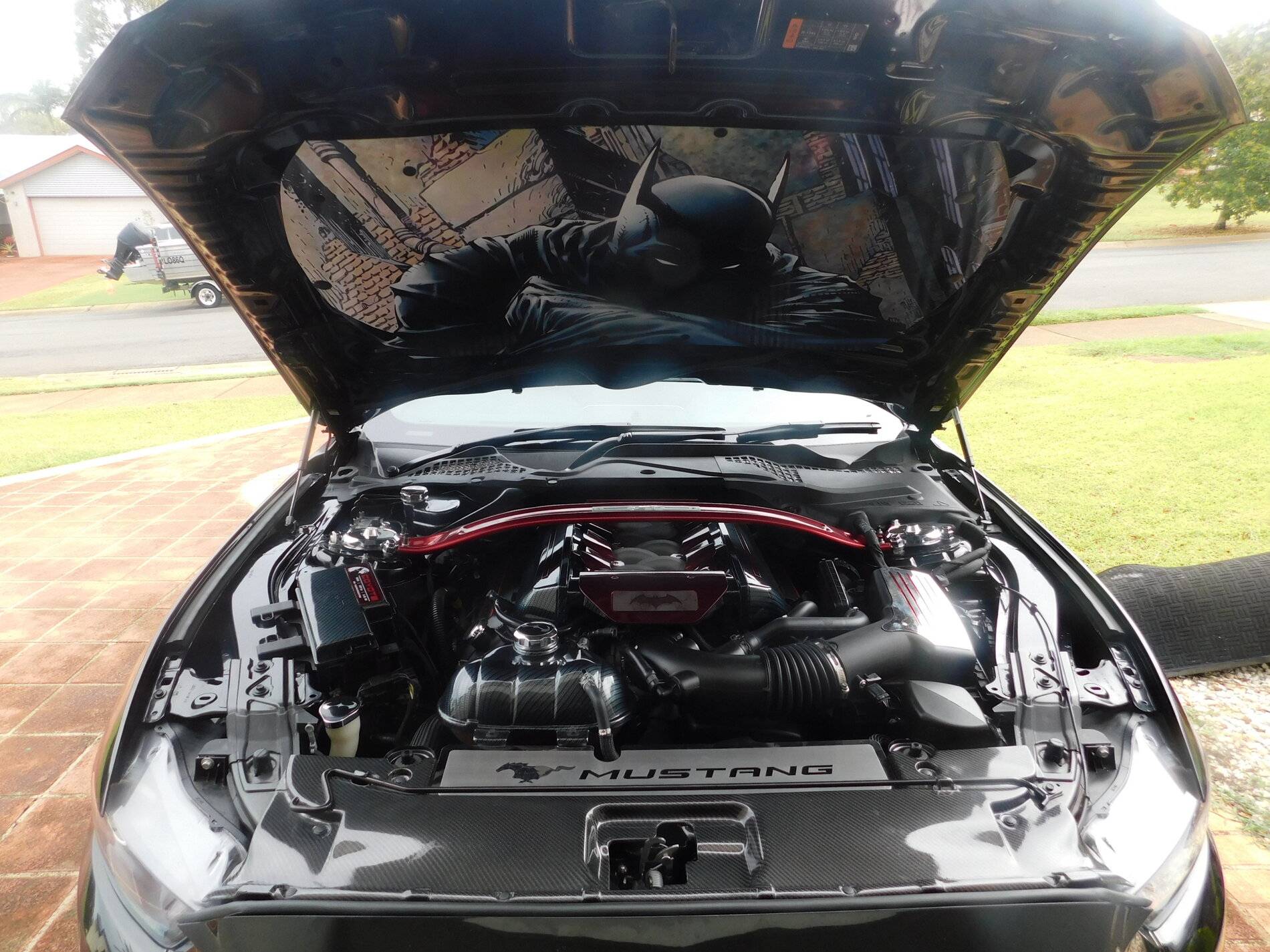 DSCN1049.JPG
