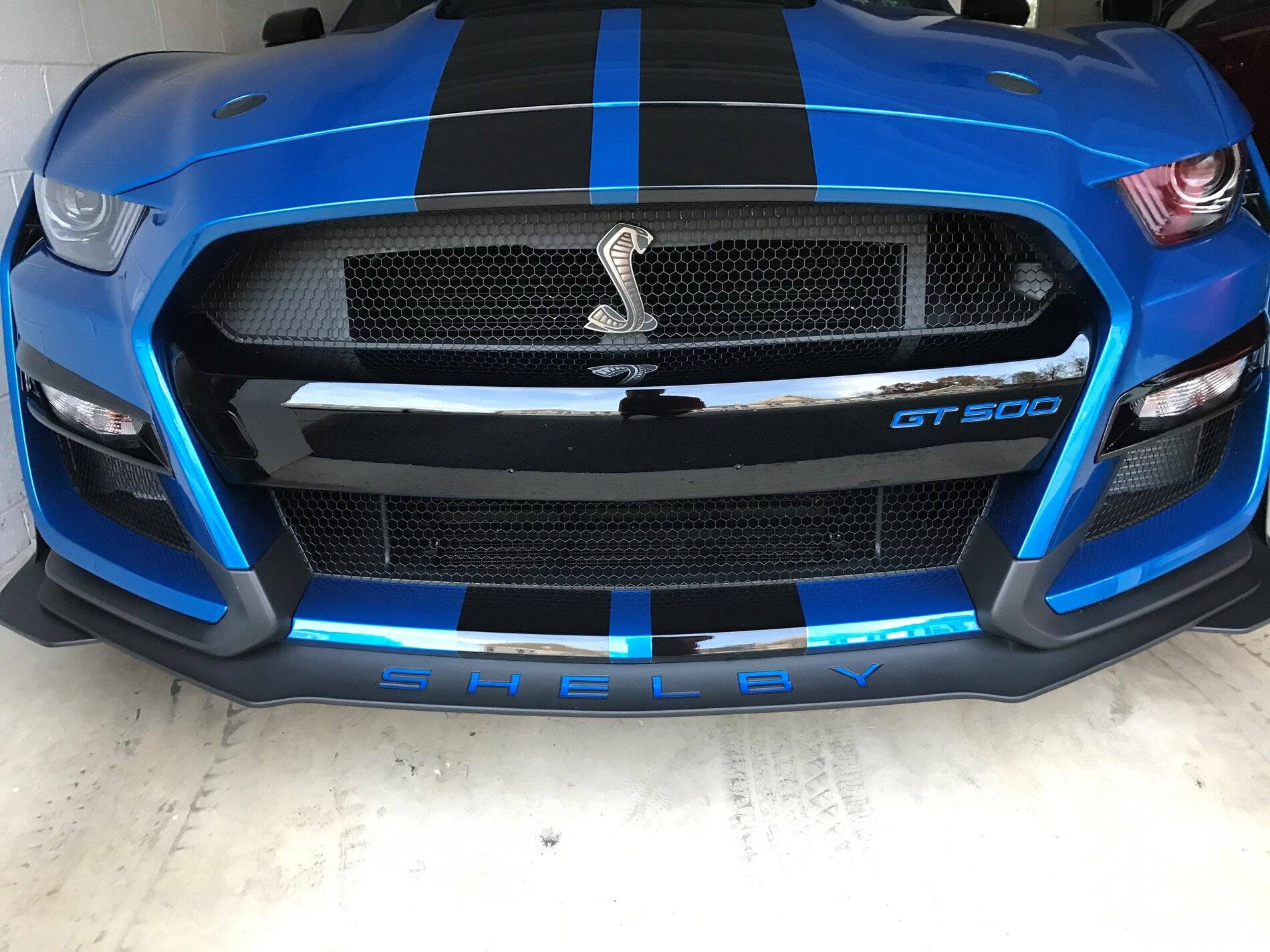 FEF3.jpg