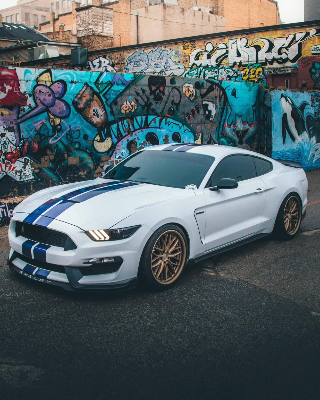 3C61D2F5-5051-46DD-B956-E013D47A5947.jpeg