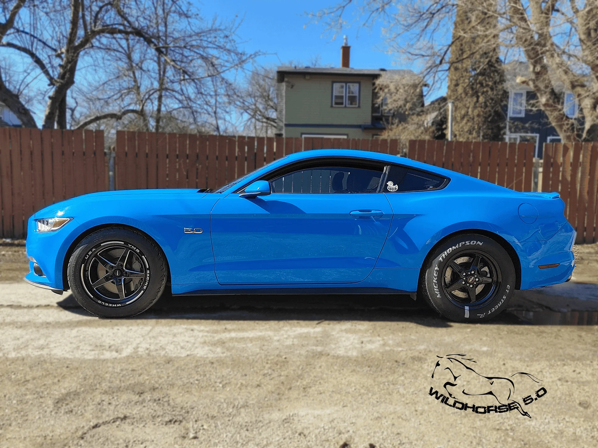 wildhorse5.0.webp