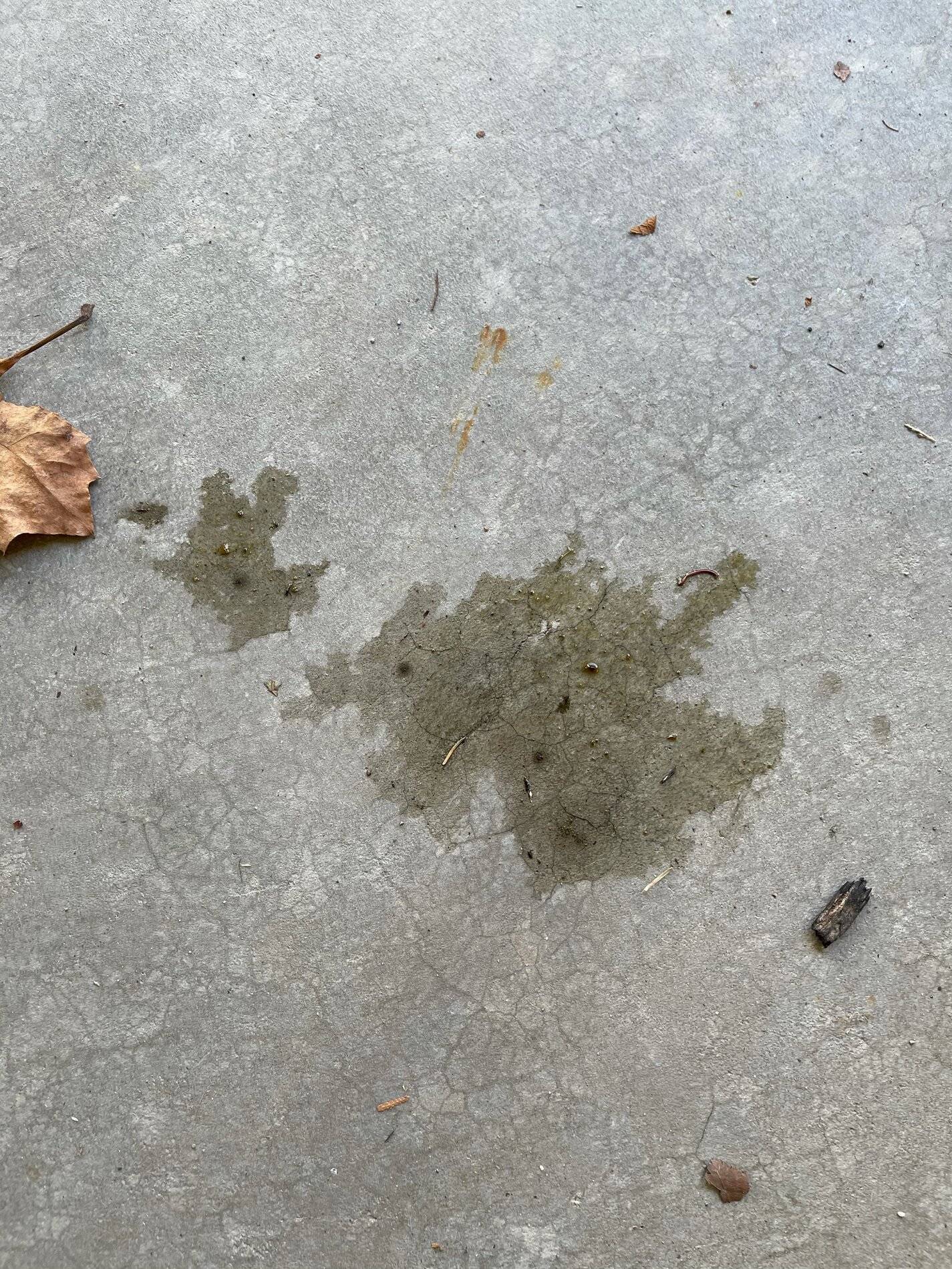 oil spot.jpg