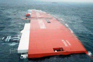 disaster2003.Tricolor.2.GIF
