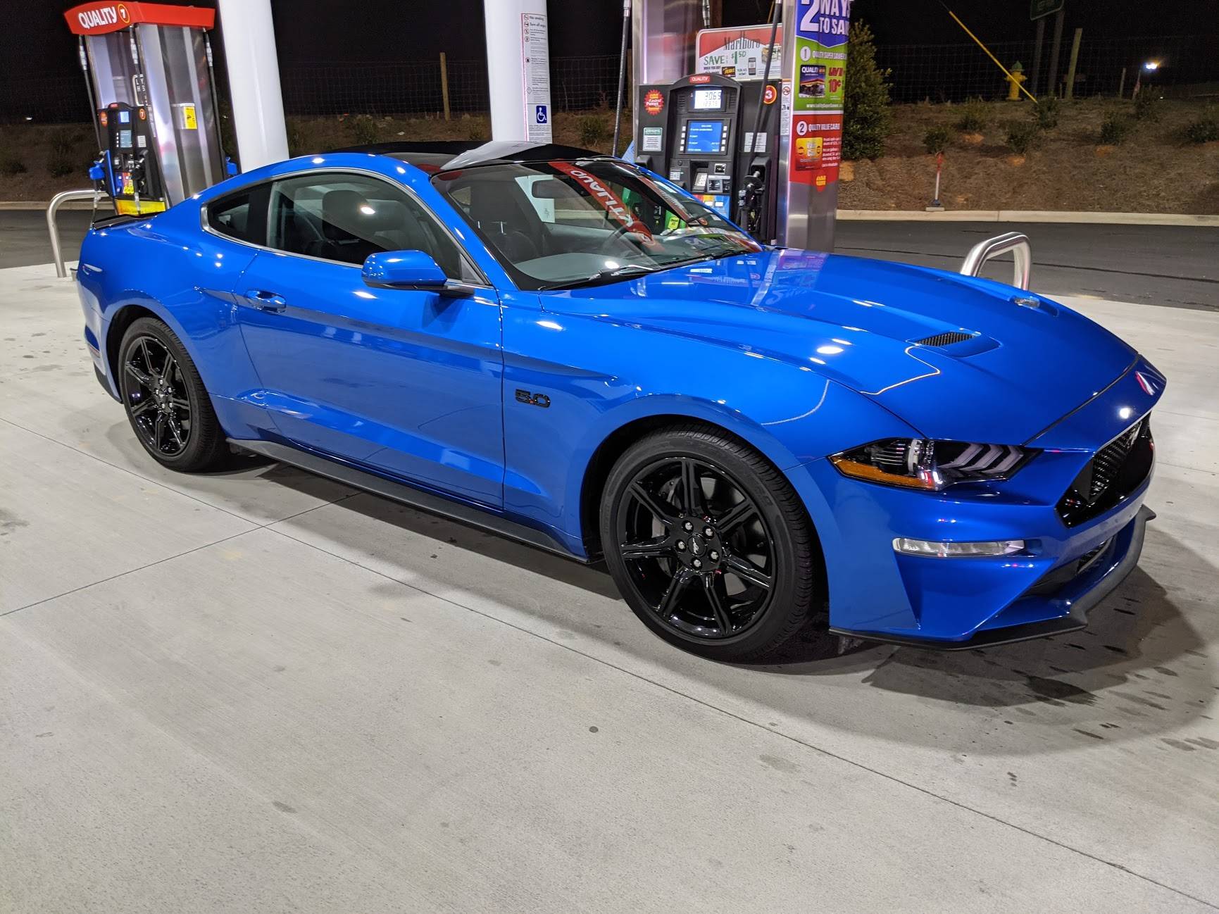 mustang2.jpg