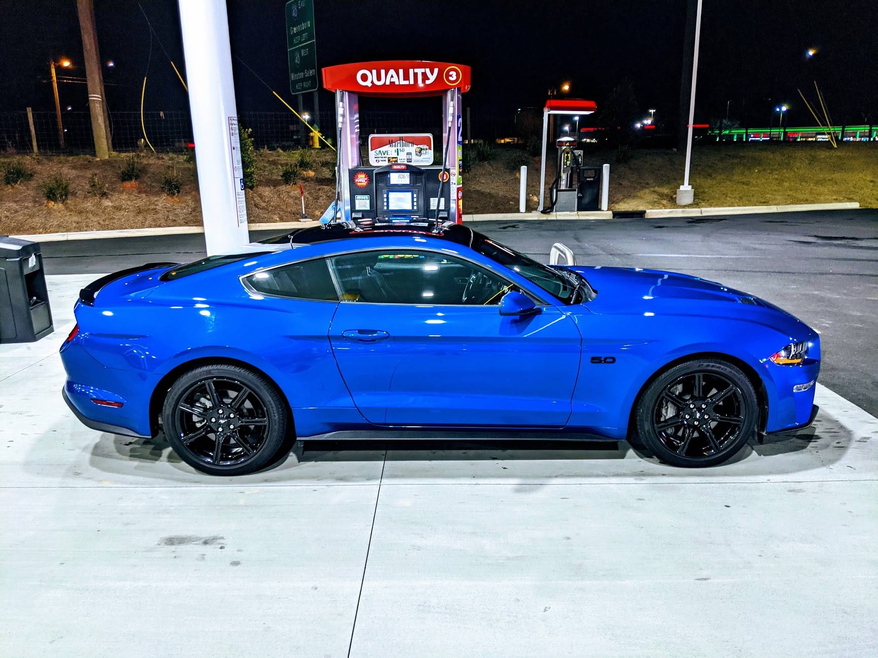 mustang03.jpg