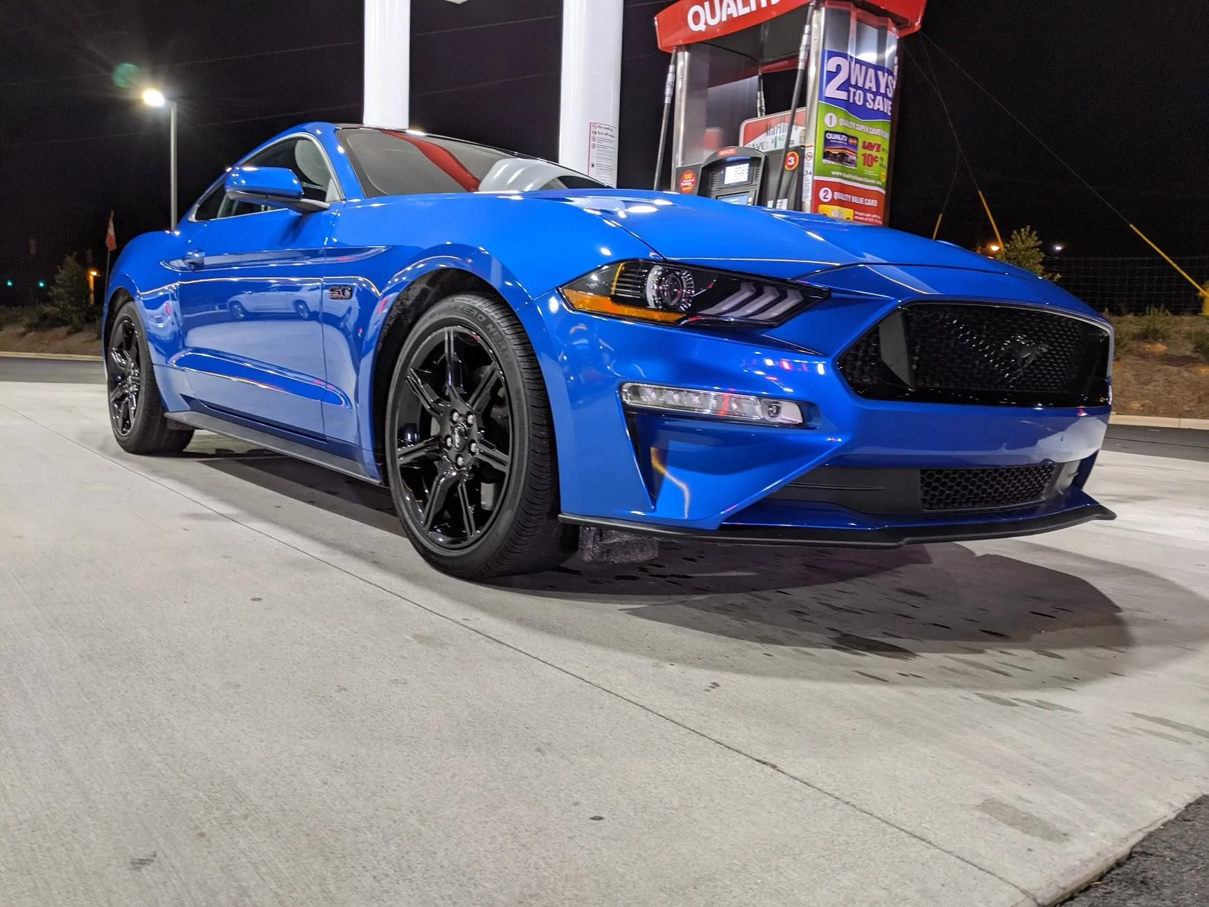 mustang1.jpg