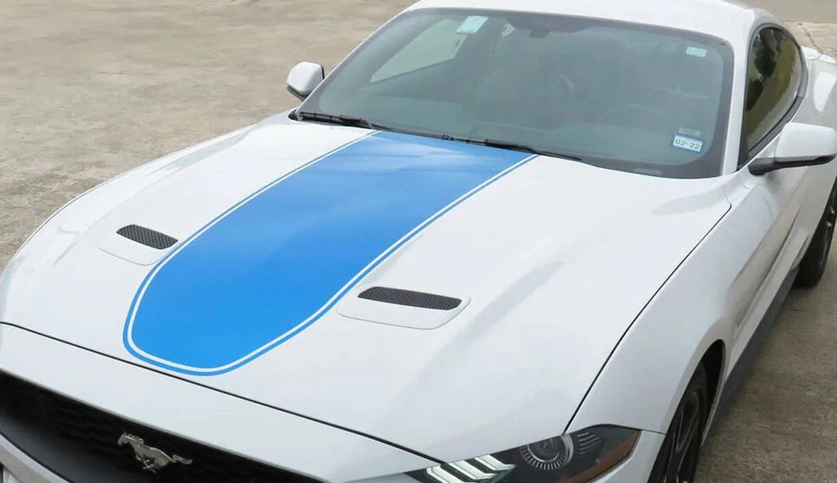 stripe.webp