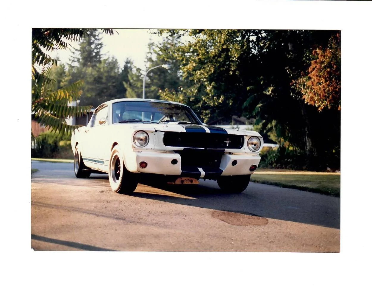 scan0003 (2).jpg