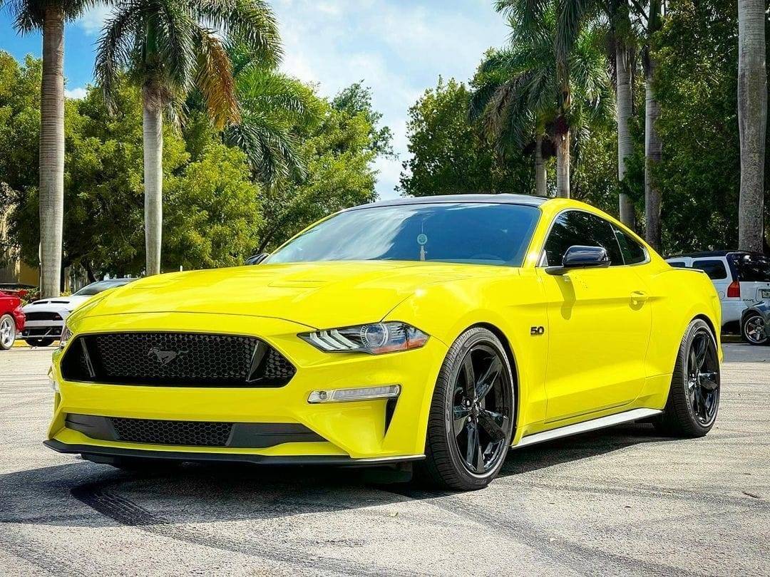 Grabber Yellow Black Accent Package 2.jpg