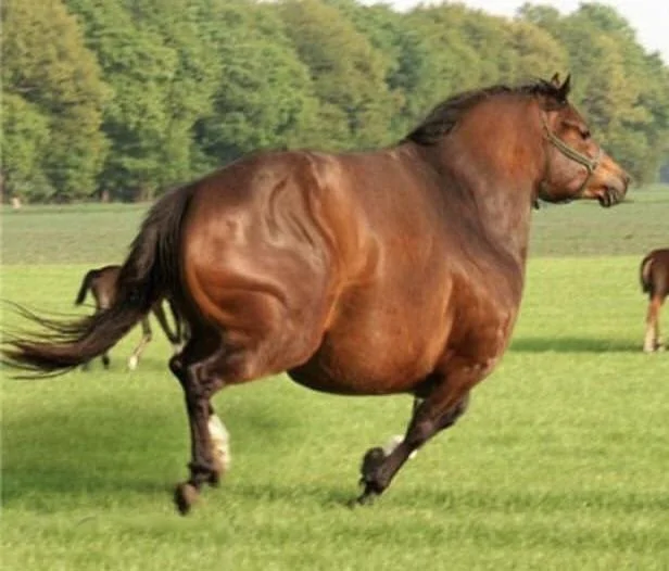 dwzne2mugbc21.jpg