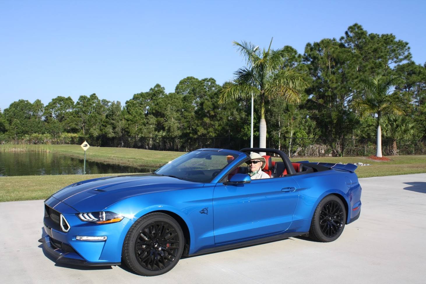 showstang.JPG