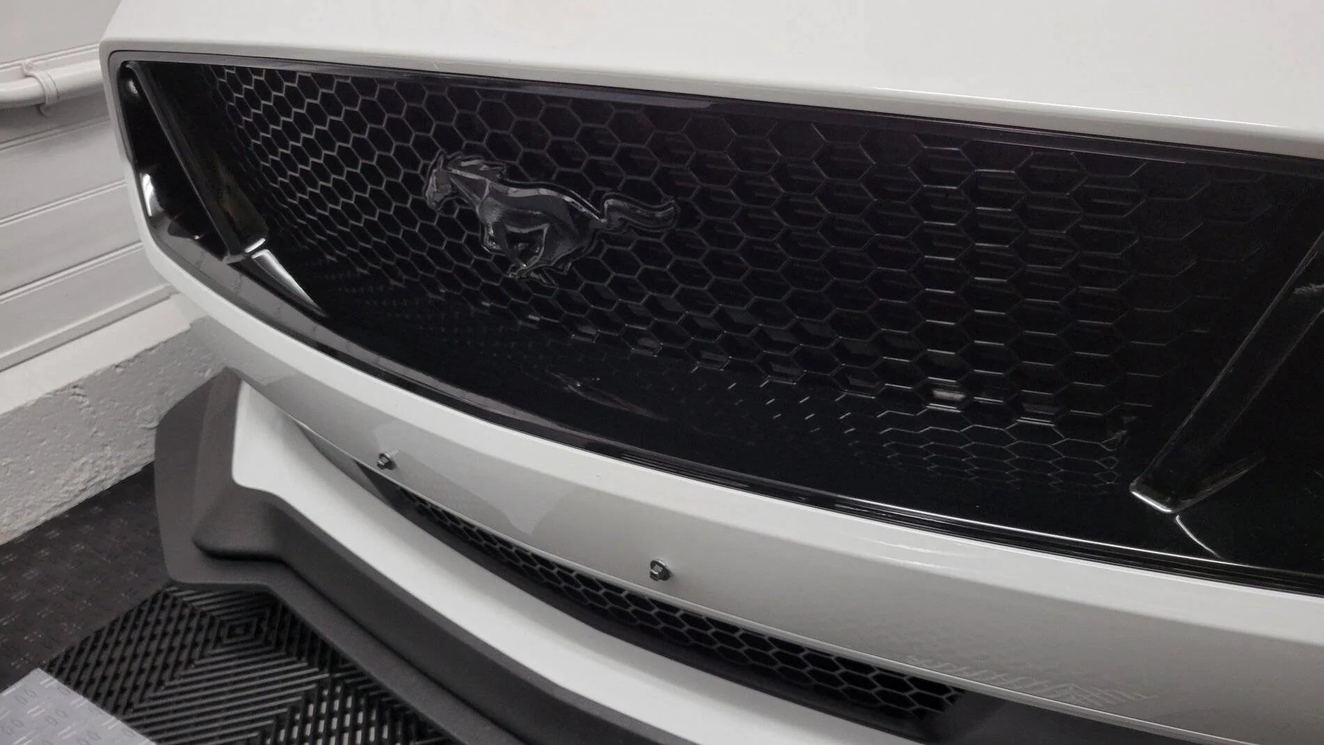 Mustang Pony Black.webp