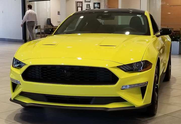 Grabber Yellow Black Accent Package 3.jpg