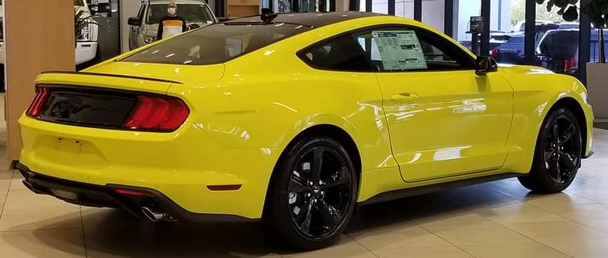 Grabber Yellow Black Accent Package 6.jpg