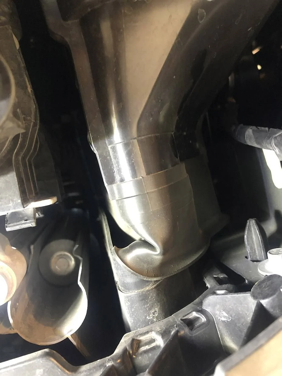 IMG_3897sm.webp