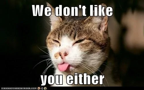 we-dont-like-you-either.webp