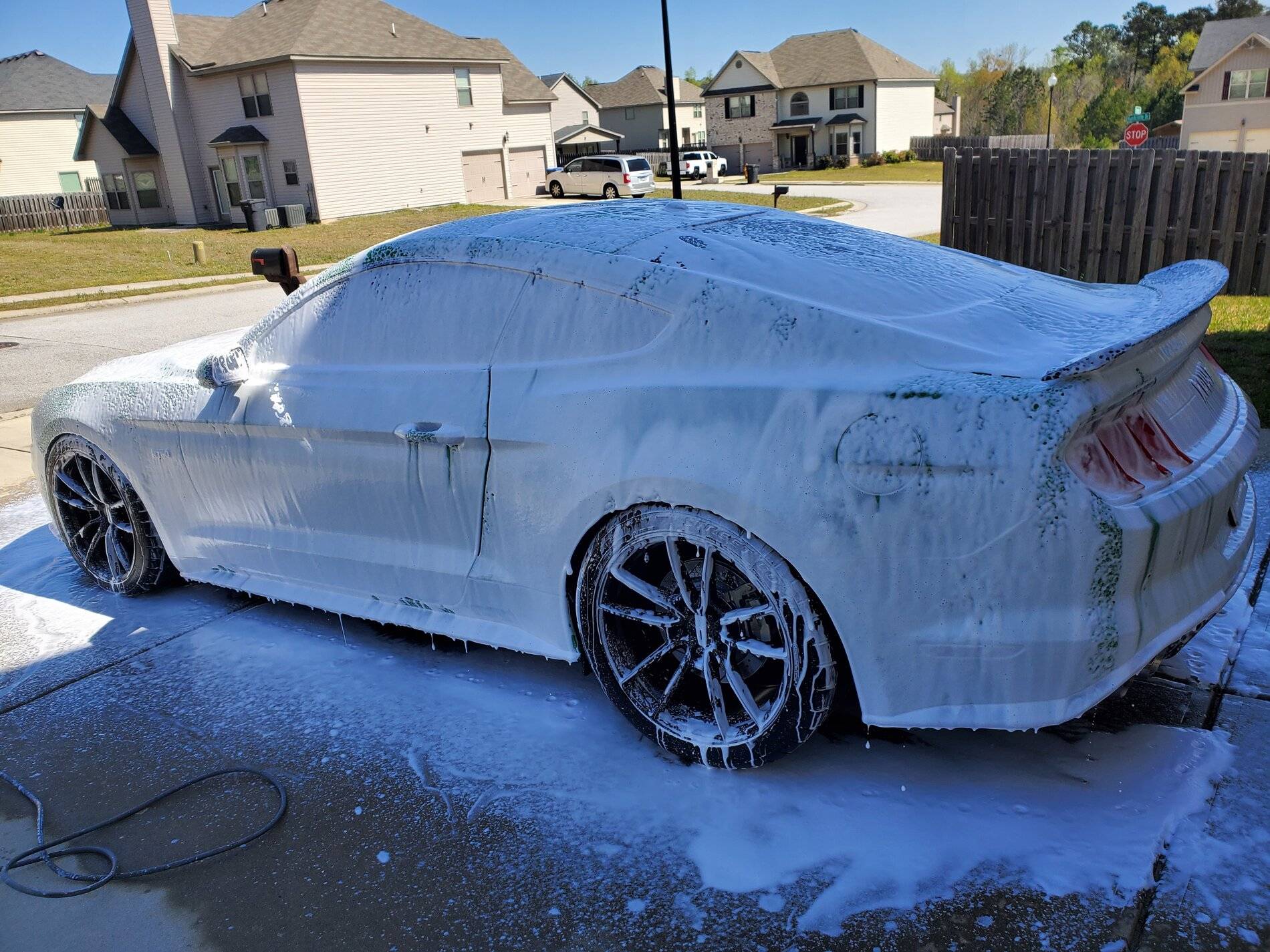 Easter Bath.jpg