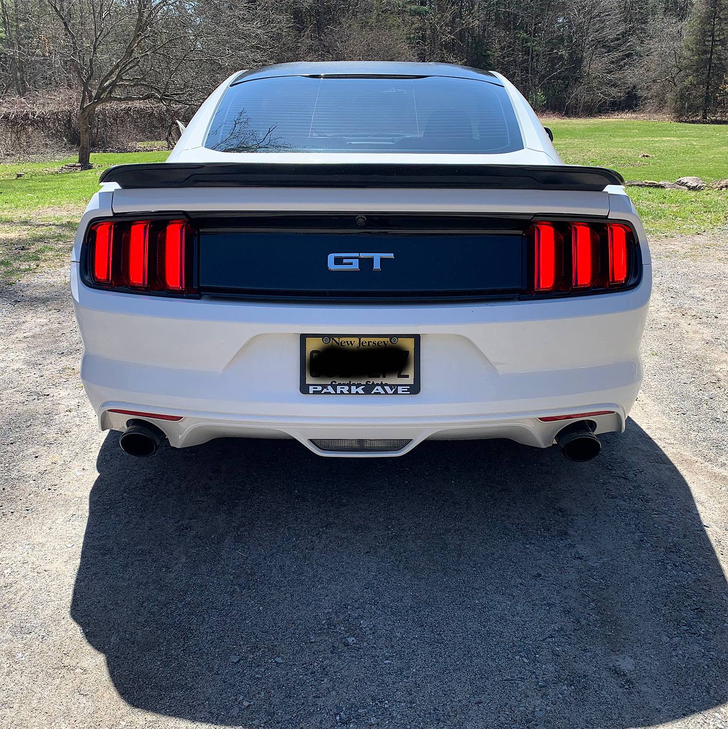 ext_rear.JPG