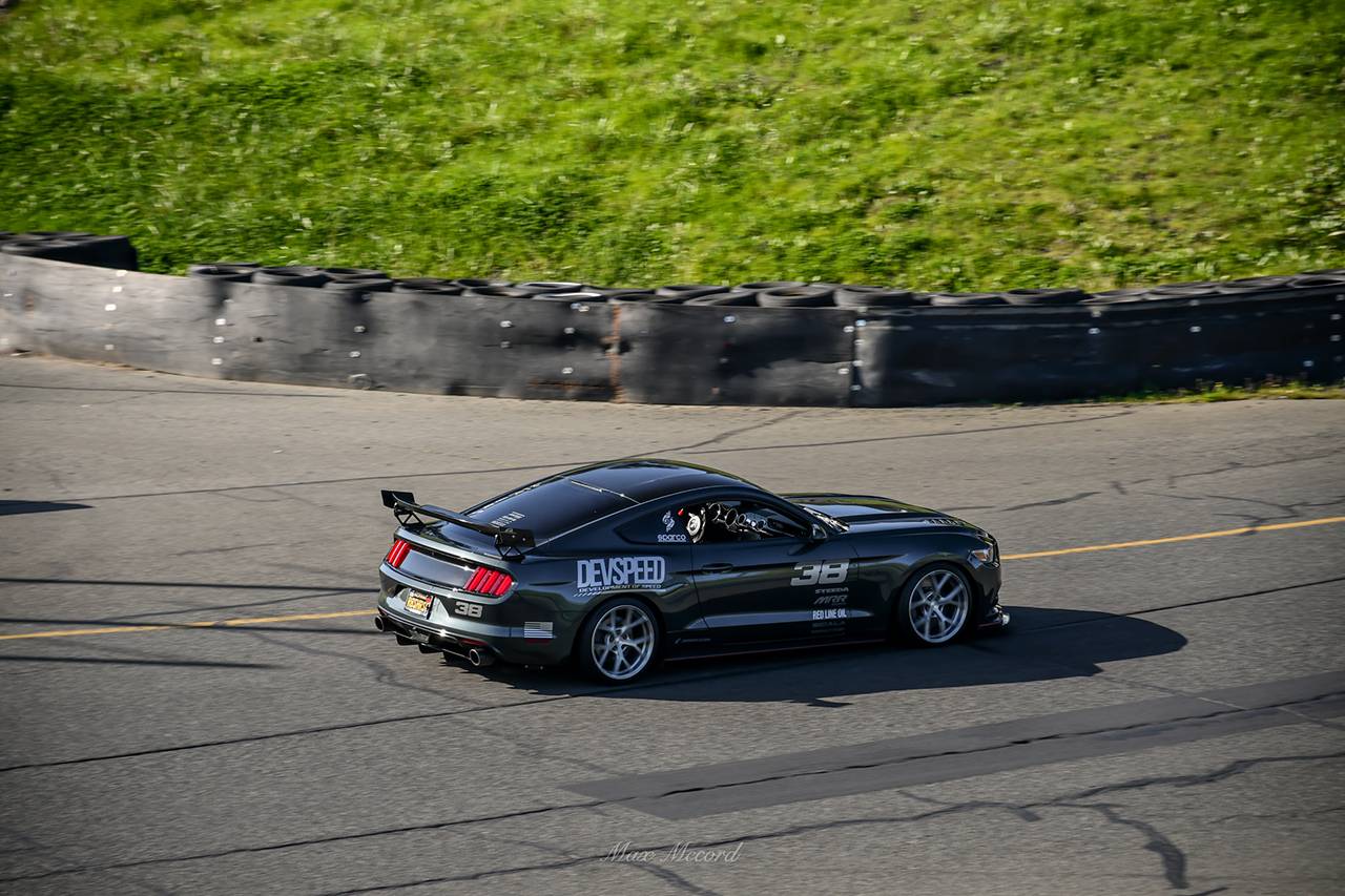 DSC_0308_Original.jpg