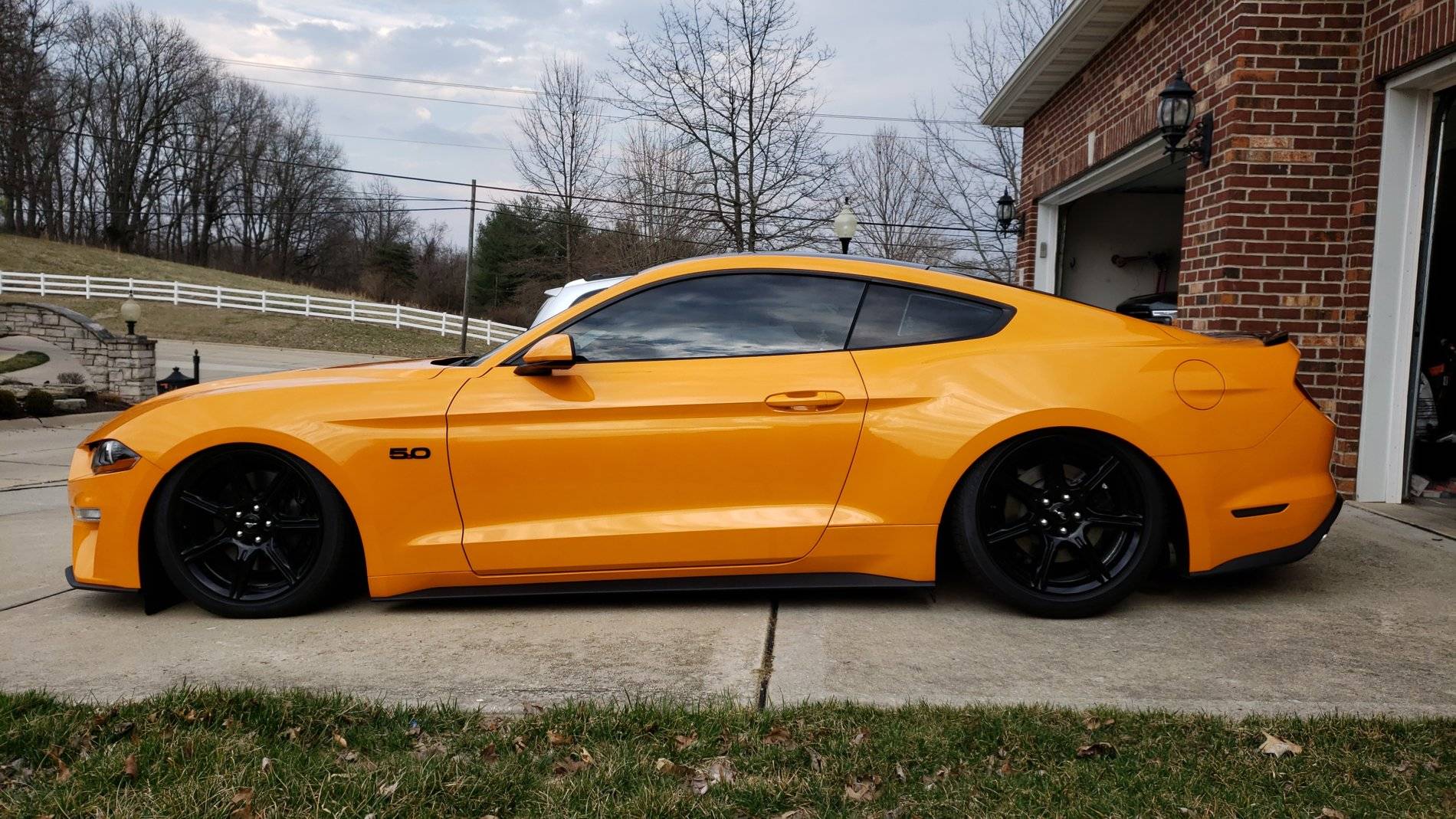 Stang.jpg
