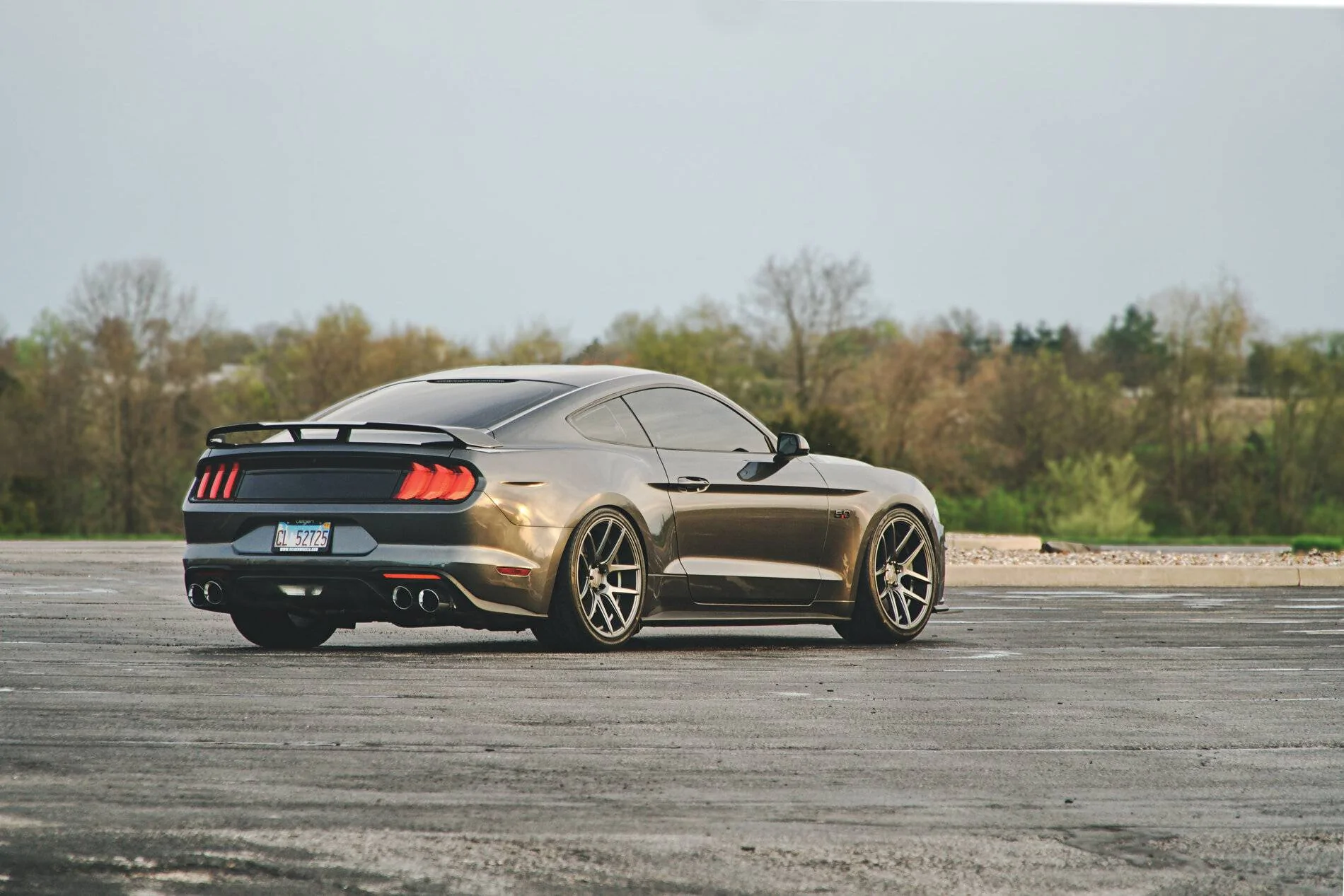 S550_3.webp