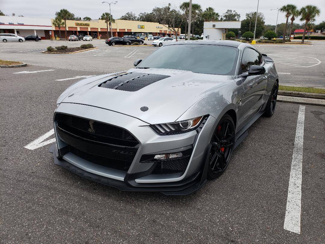 cobra.jpg