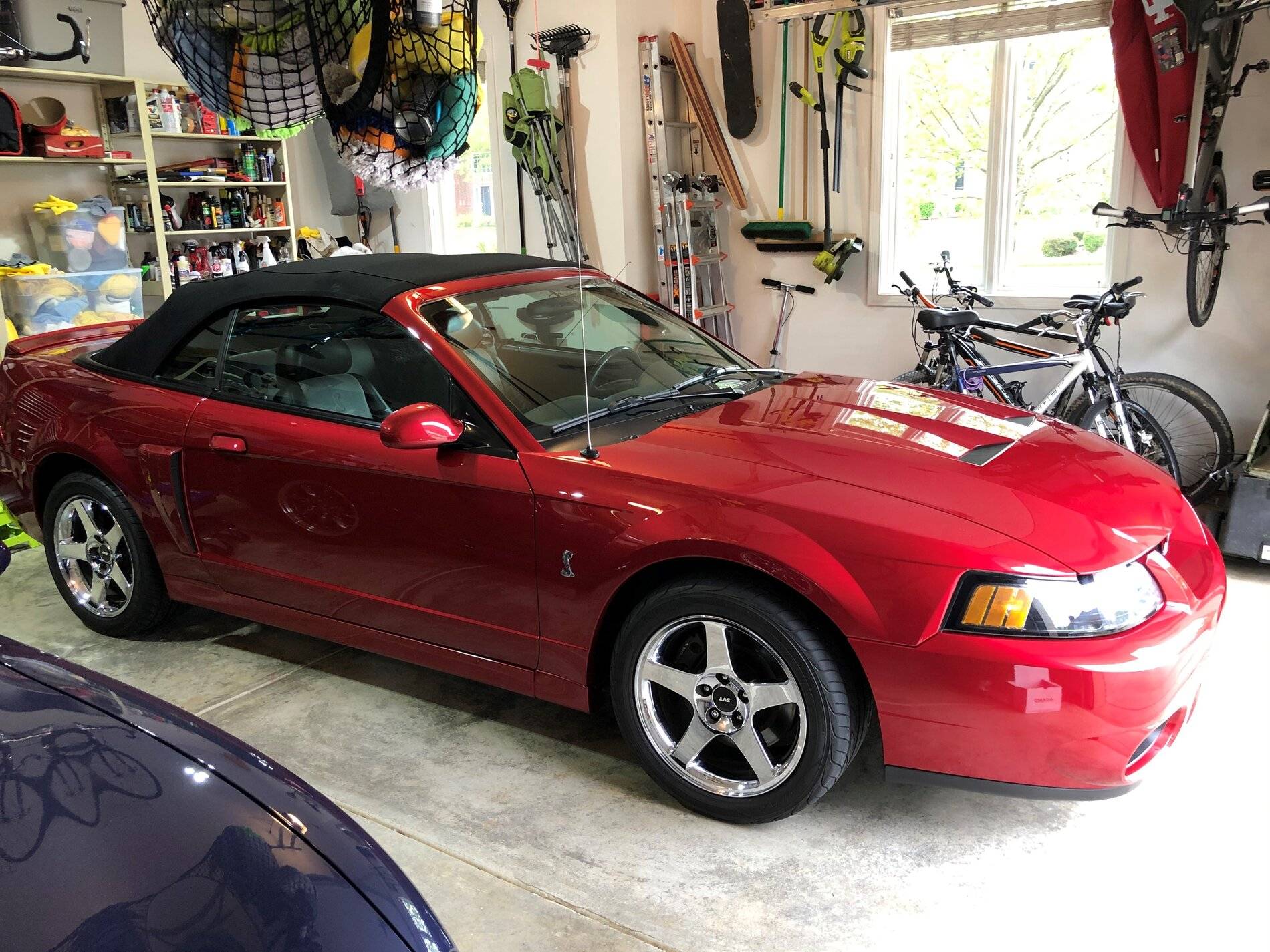cobra ceramic 2.jpg