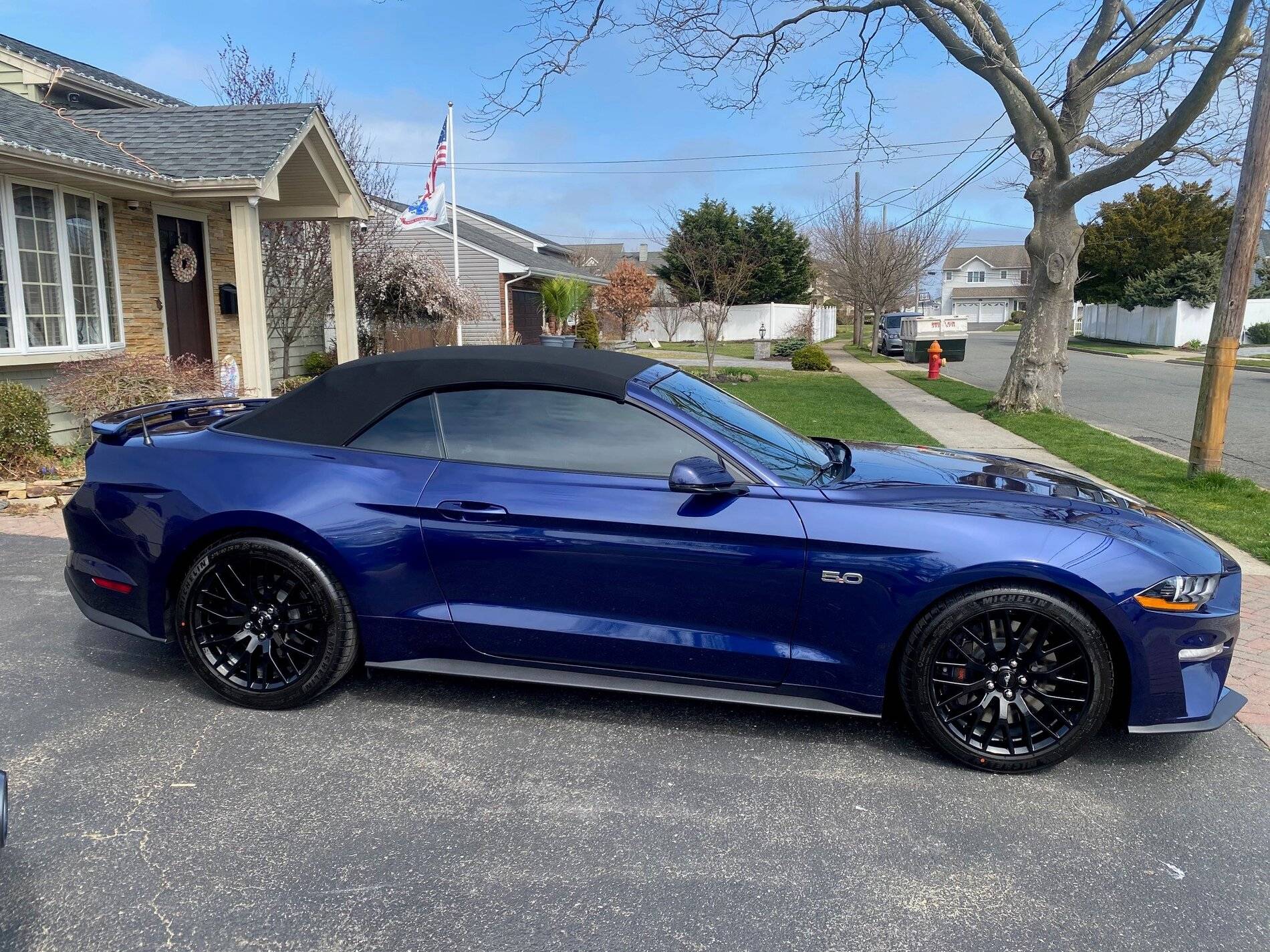 MustangBack4.jpg