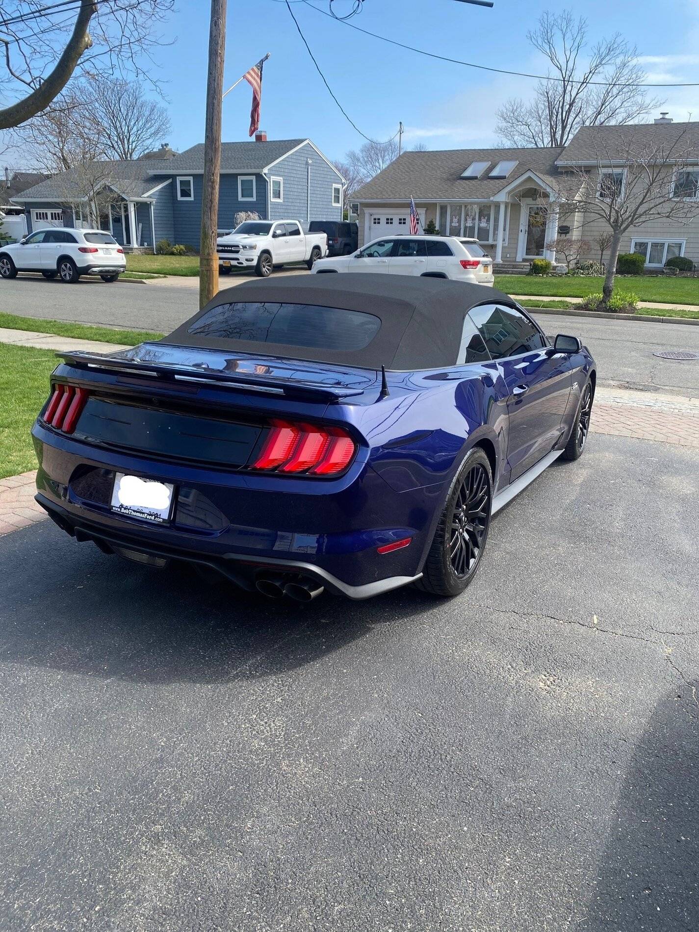 MustangBack3_LI.jpg