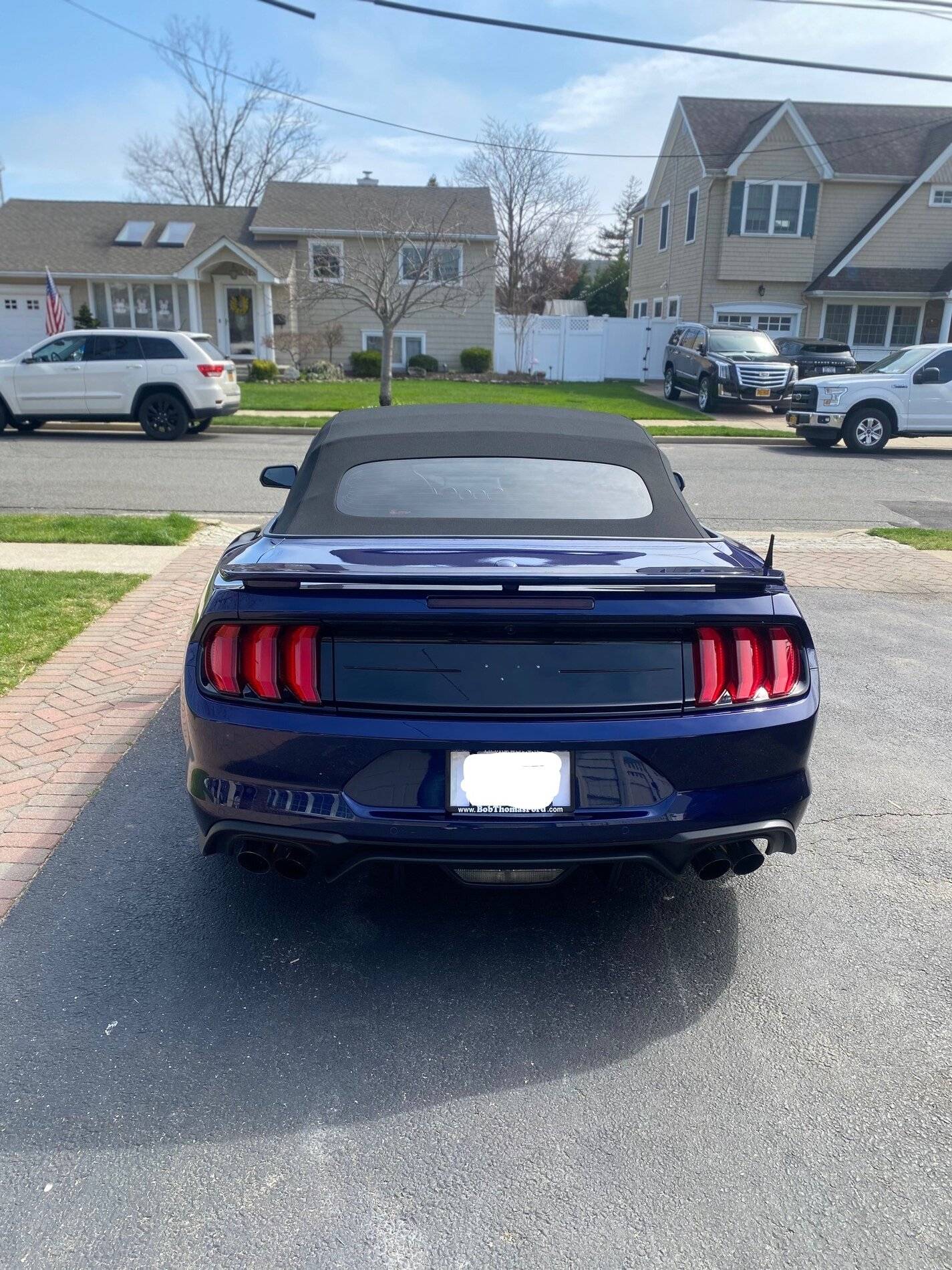 MustangBack2_LI.jpg