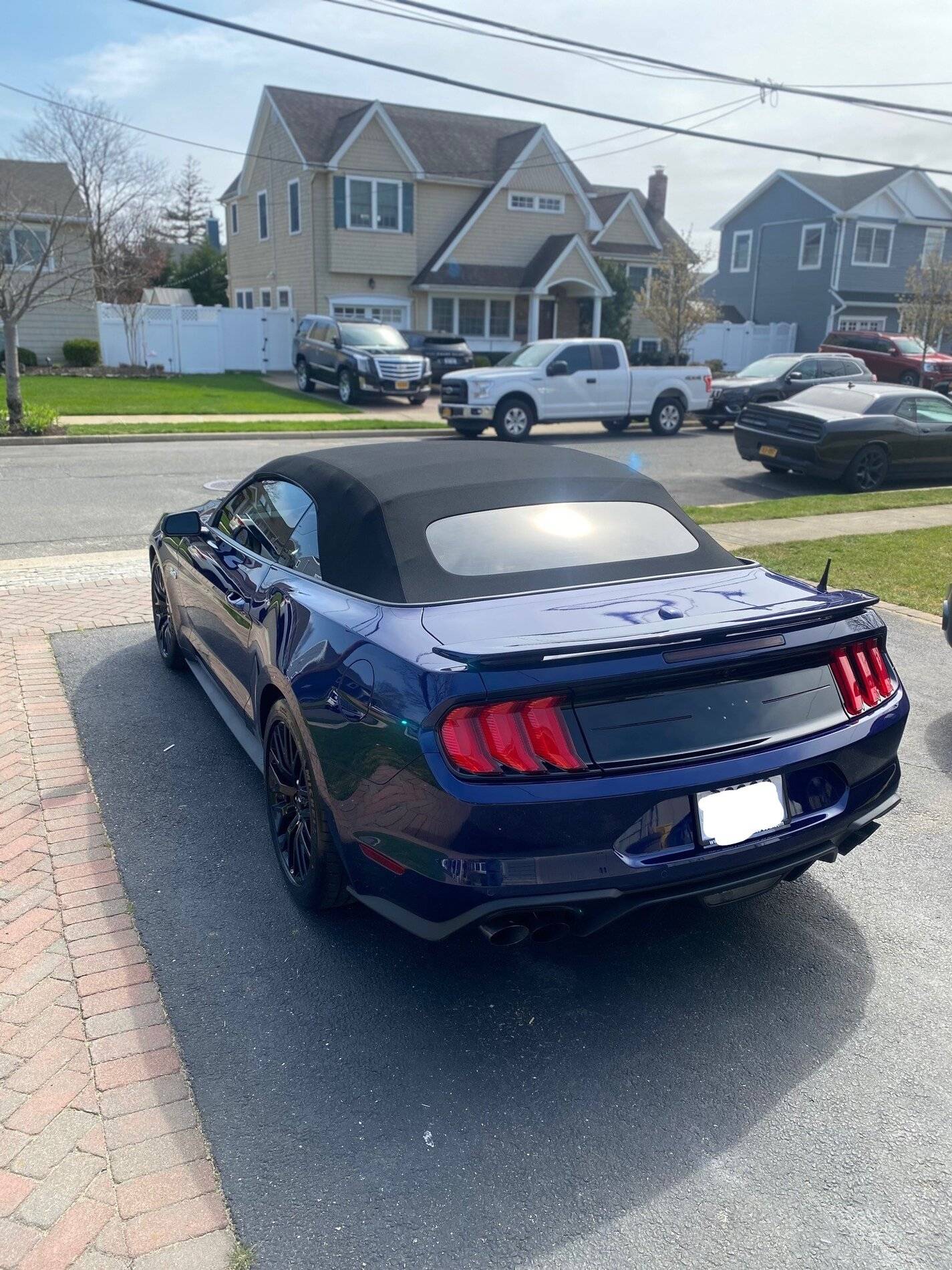 MustangBack1_LI.jpg