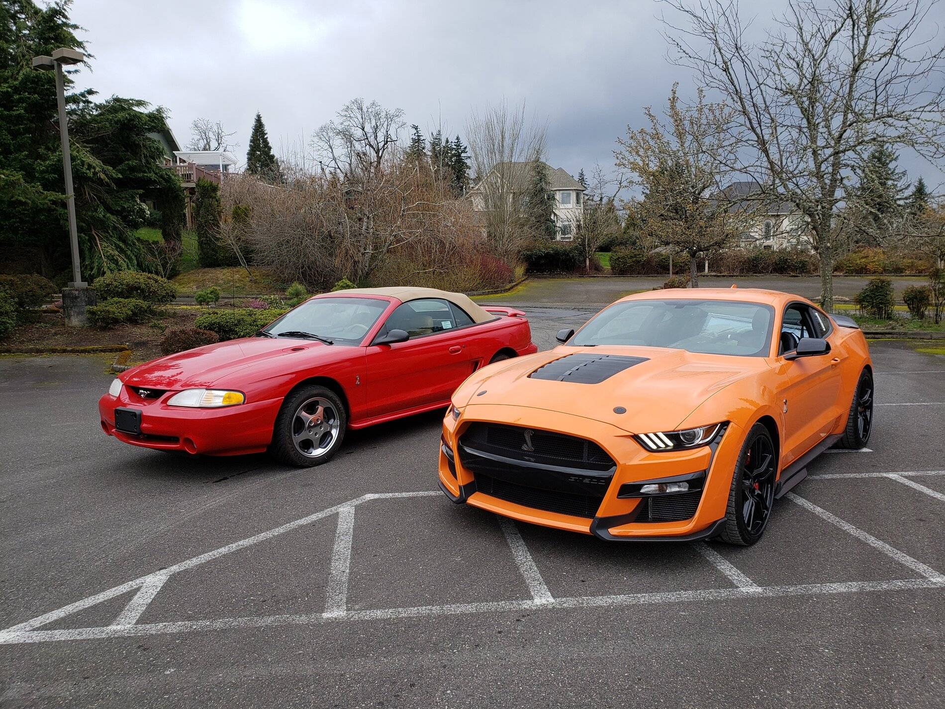 side by side front .75.jpg
