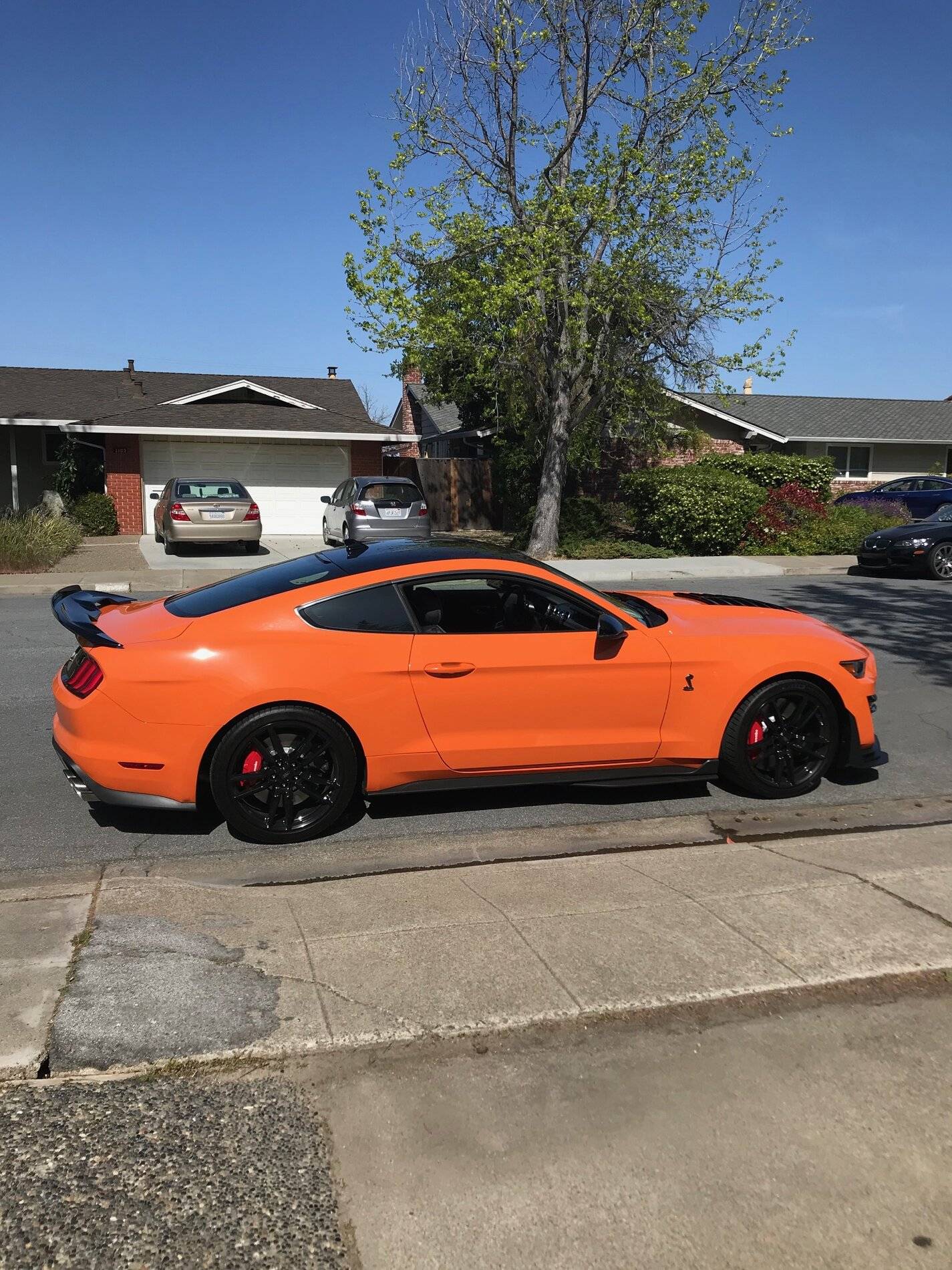 GT500 1.jpg