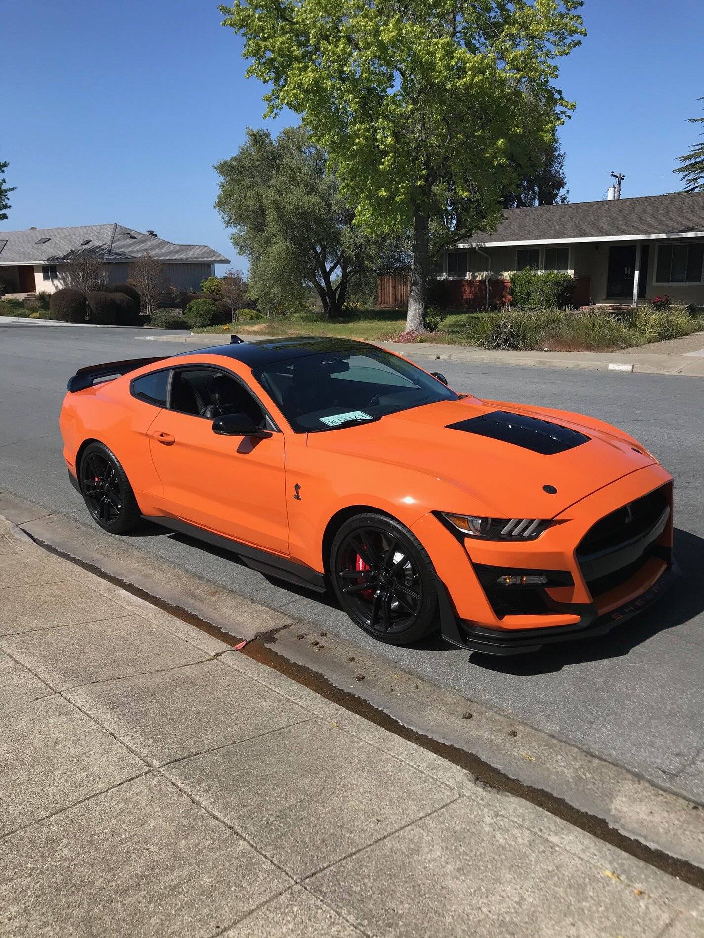 GT500 2.jpg