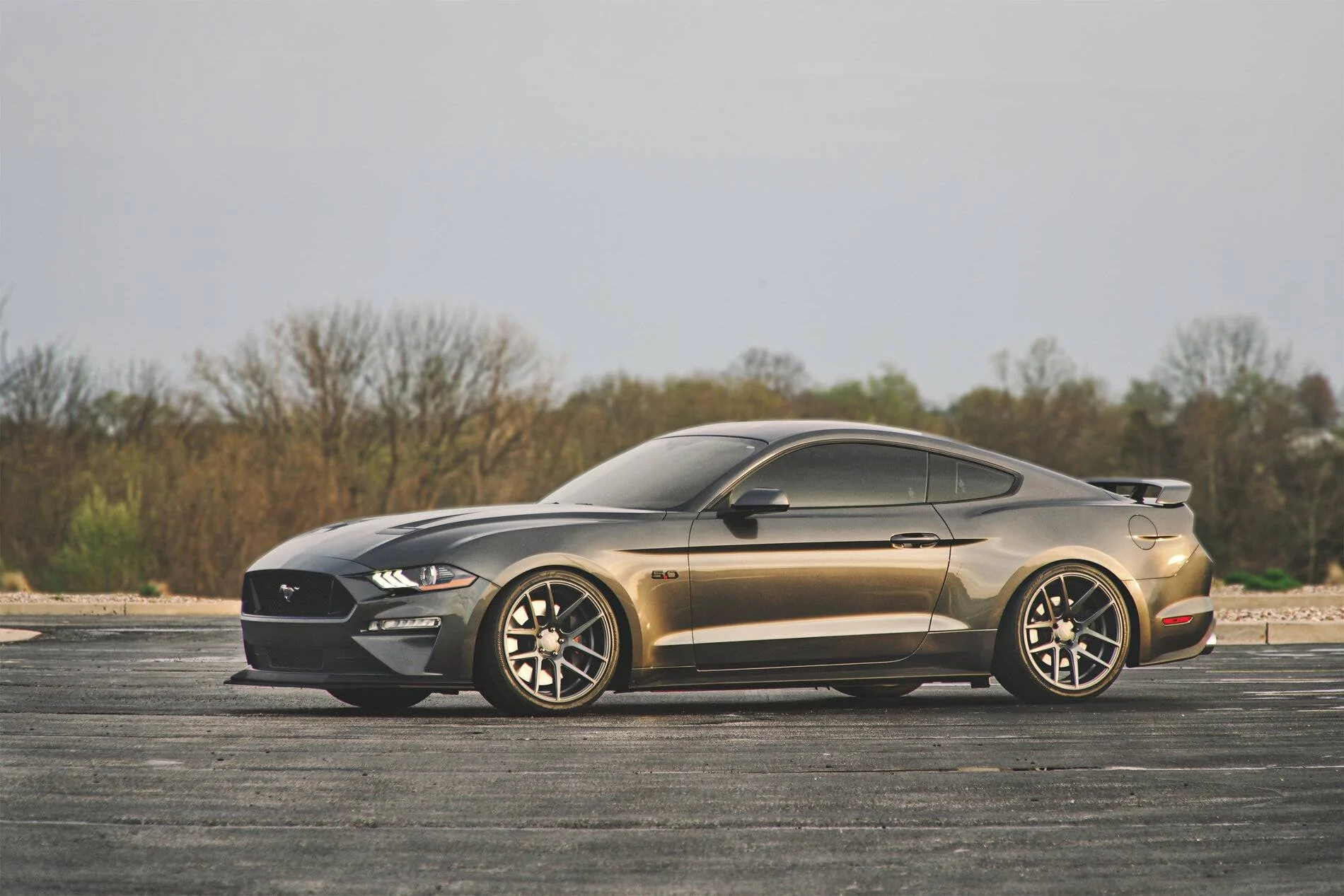 S550_4.jpg