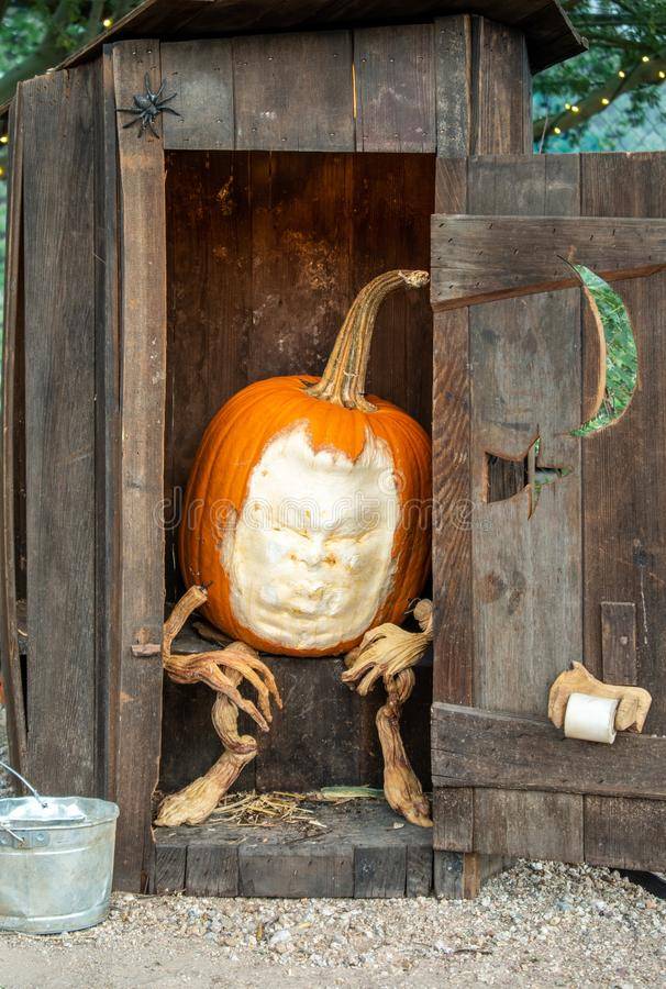 carved-pumpkin-staged-sitting-old-fashioned-outhouse-complete-toilet-paper-spider-pail-carved-...jpg