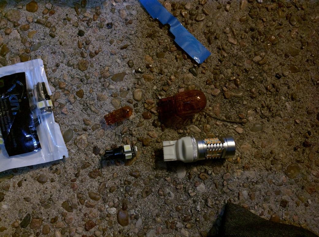 bulbs.jpg