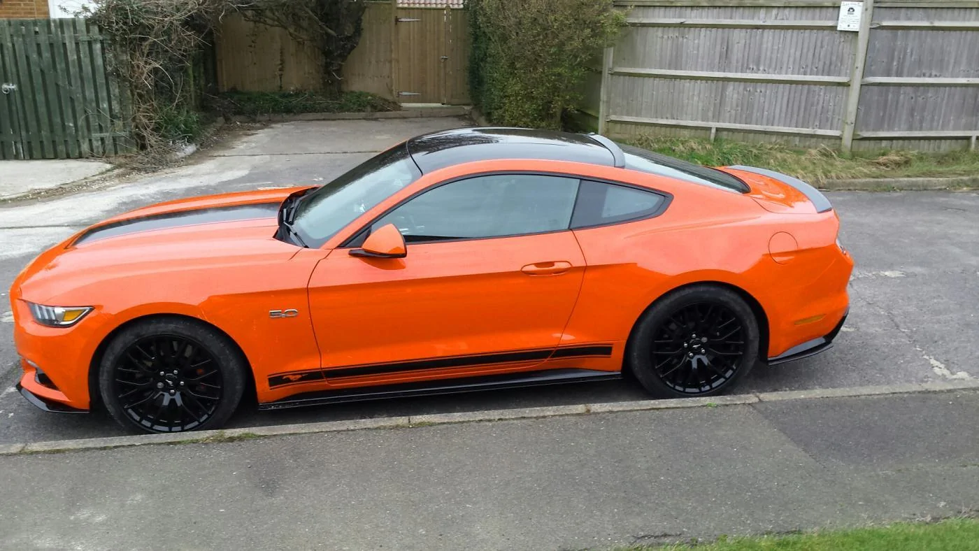 orange showing.webp