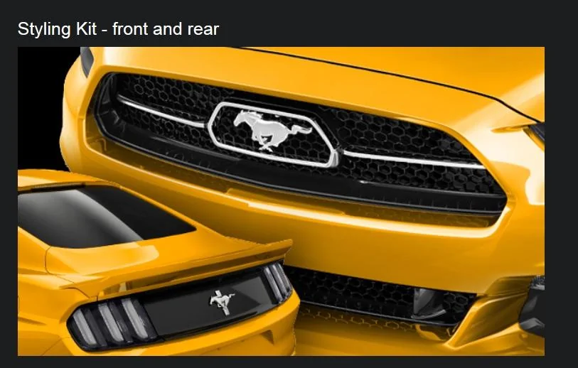 mustang styling kit.webp