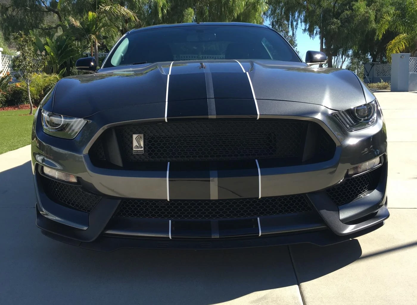 GT350-2.webp