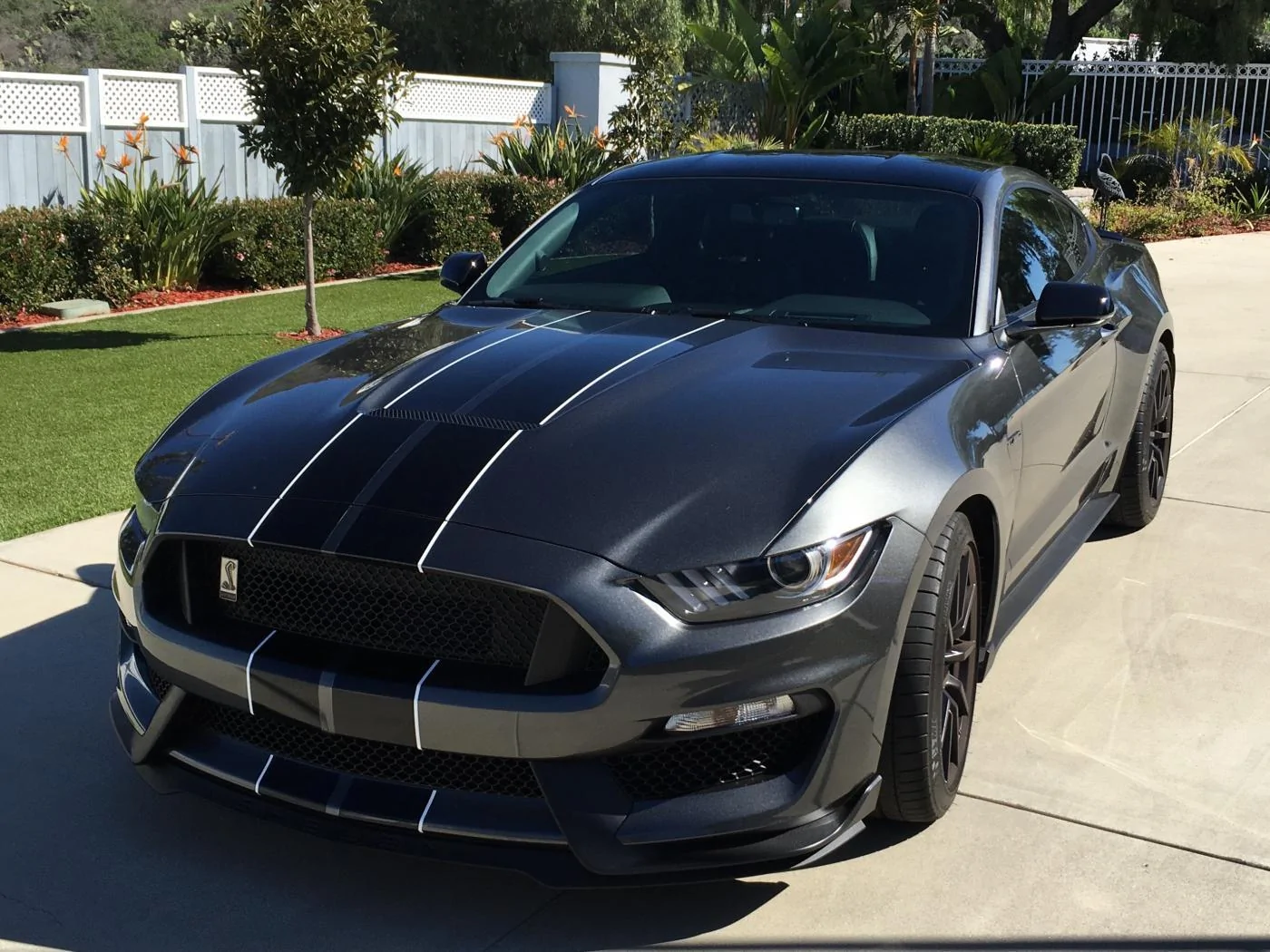 GT350-3.webp