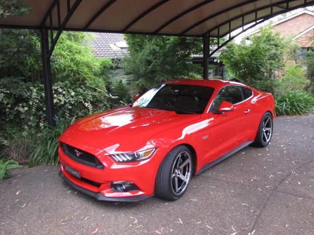 Mustangs Feb 2016 003.JPG