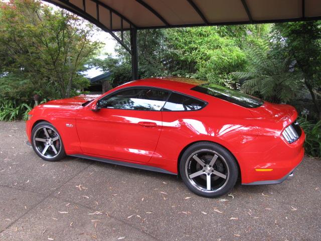 Mustangs Feb 2016 002.JPG