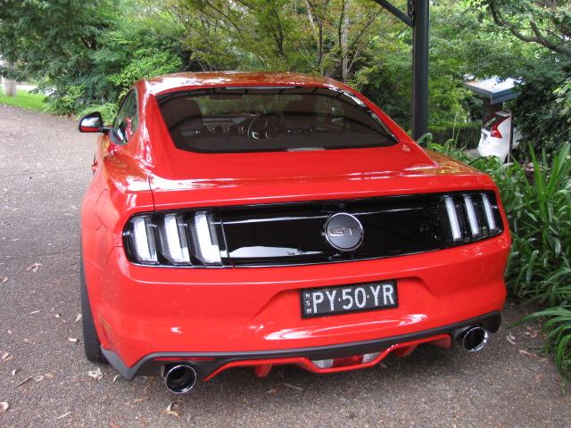 Mustangs Feb 2016 006.JPG