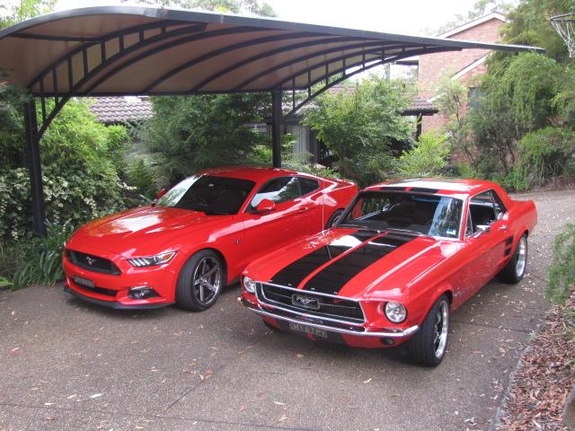 Mustangs Feb 2016 010.JPG
