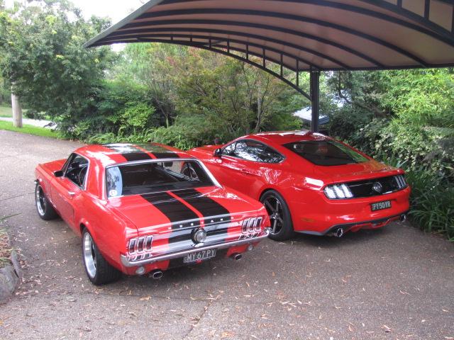Mustangs Feb 2016 007.JPG